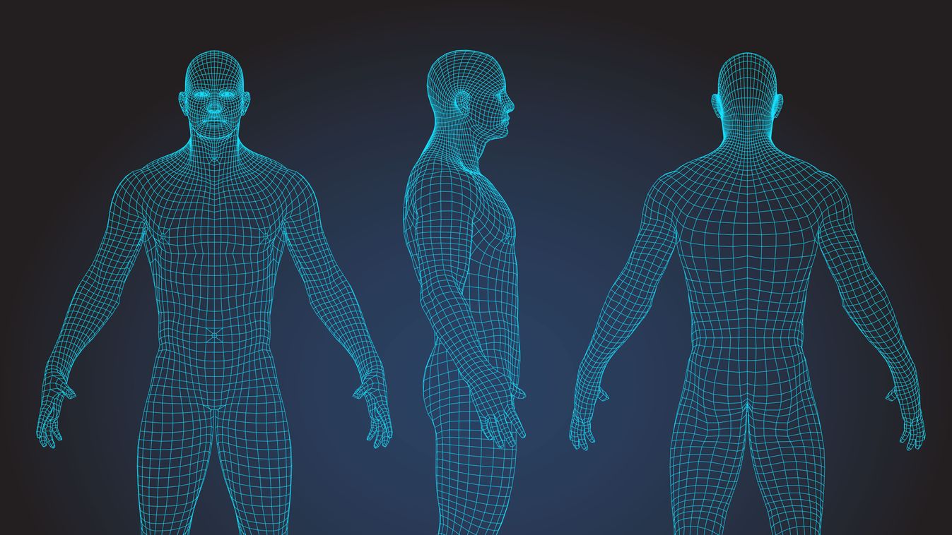 Véredényeket és légutakat készítettek 3D-nyomtatóval