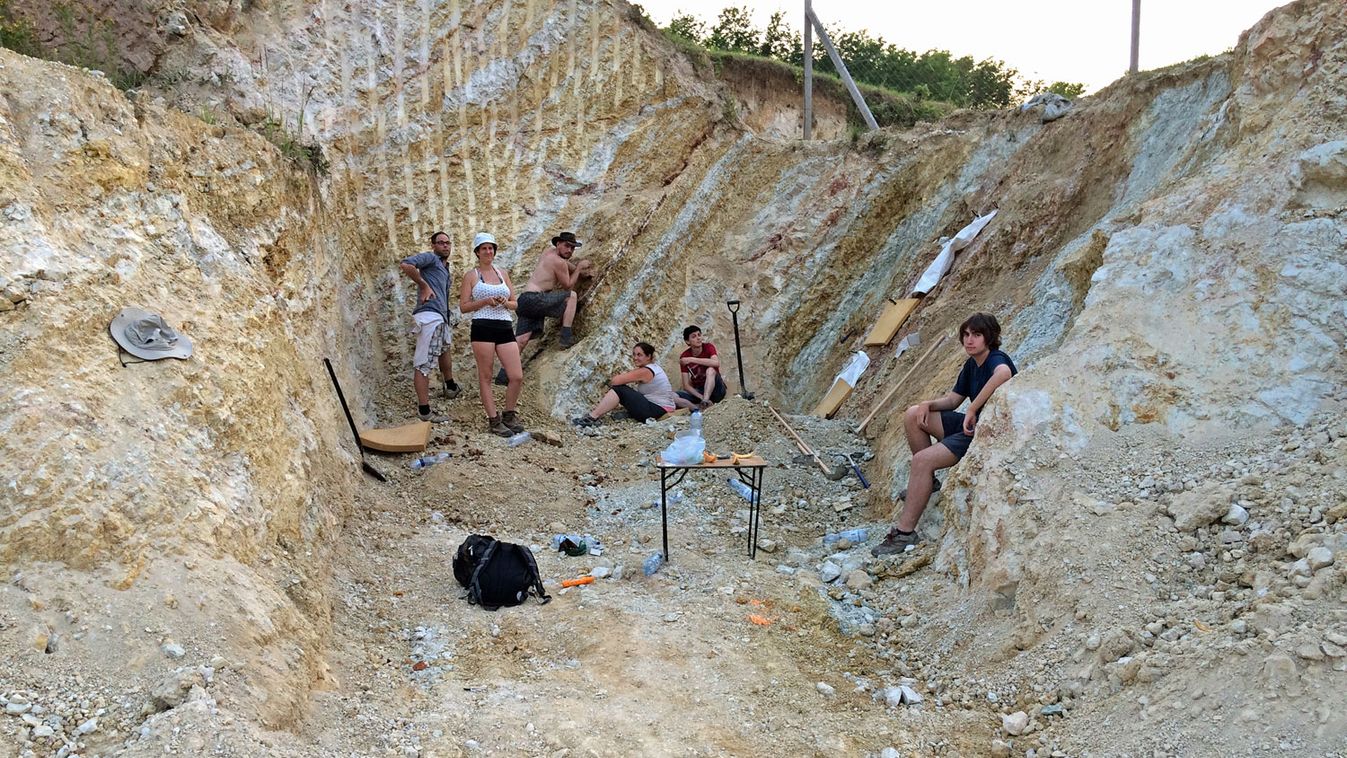 Bizarr őshüllőre bukkantak Baranyában