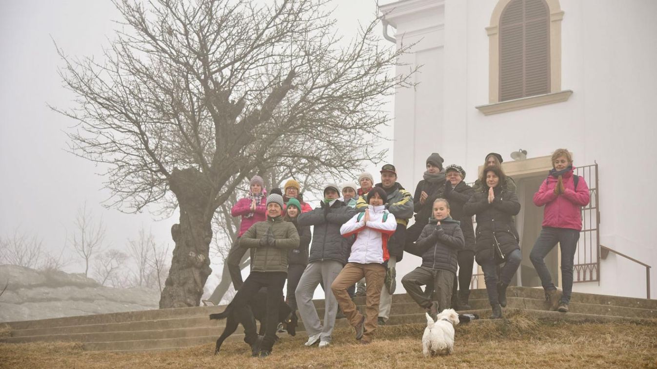 Egyelőre a havihegyi mandulafa vezet az Év Európai Fája szavazáson