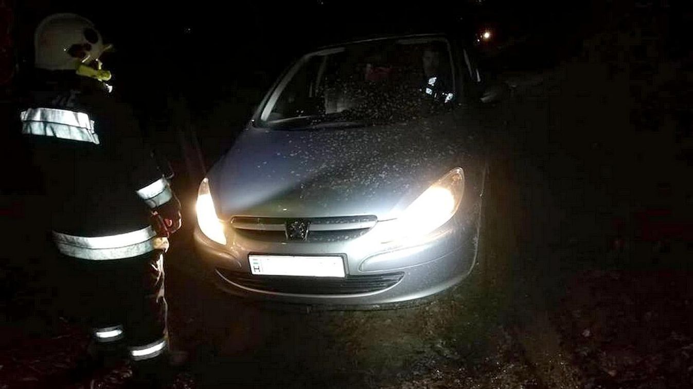 Rosszul navigált a GPS, kimentették a családot a Mecsekben