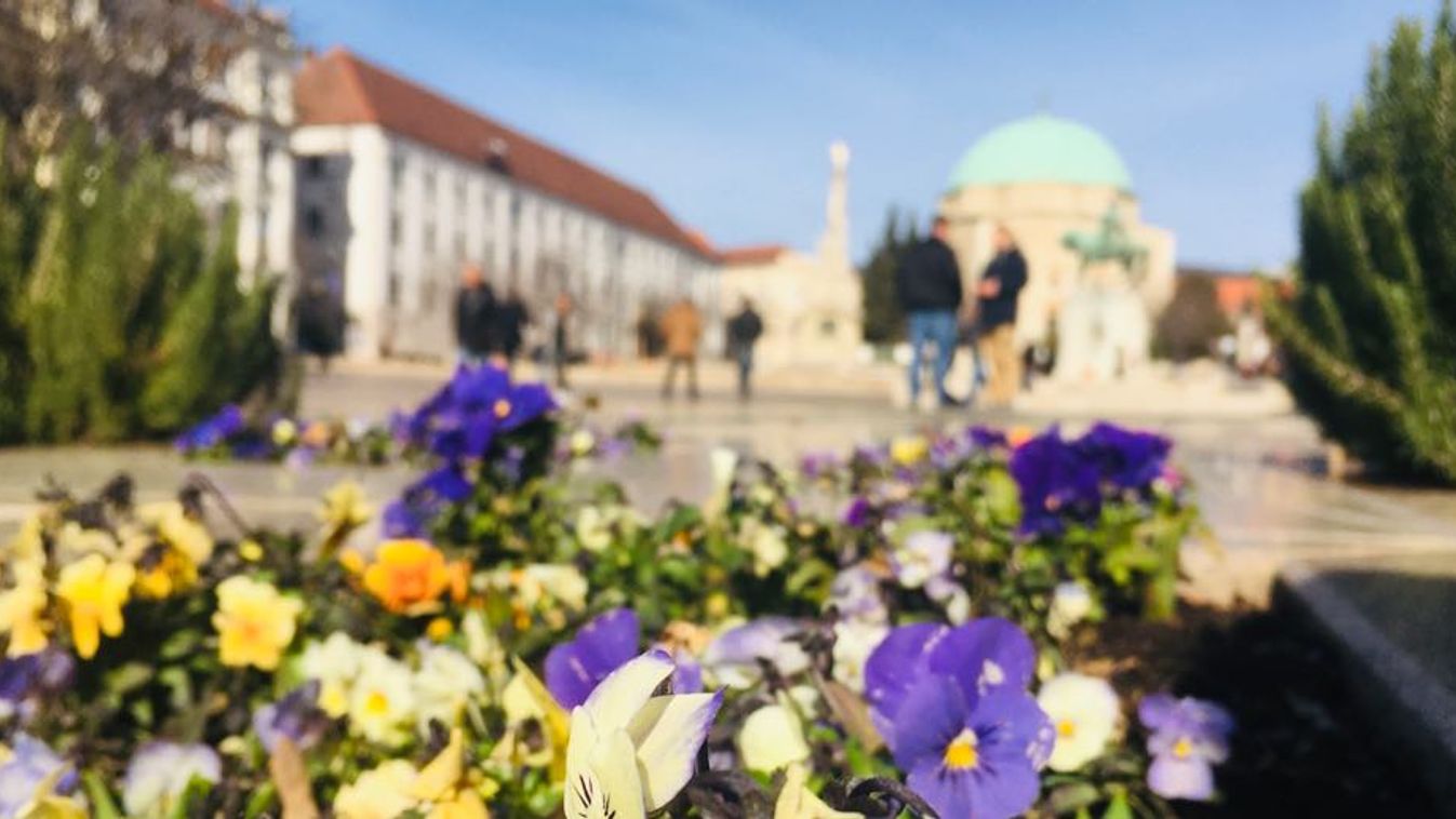 Berobbant a tavasz! Nyílnak a virágok, tüsszögnek az allergiások!
