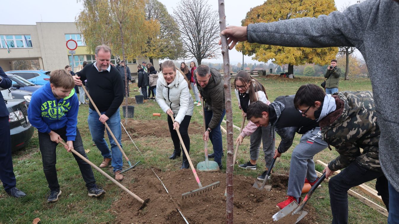 A zöldebb jövő érdekében ültettek fákat Kertvárosban