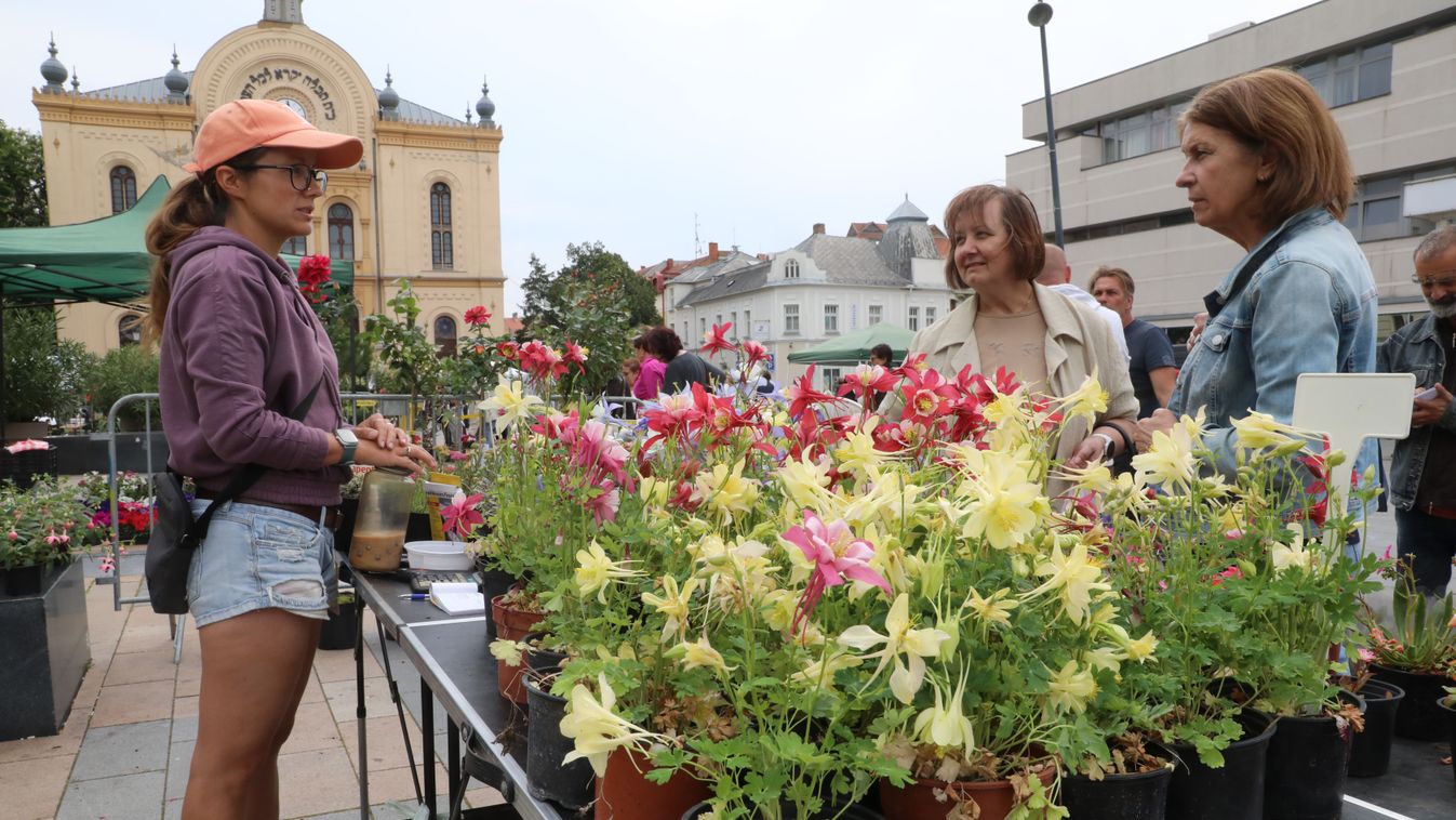 Sok vevő volt a pénteki növényvásáron