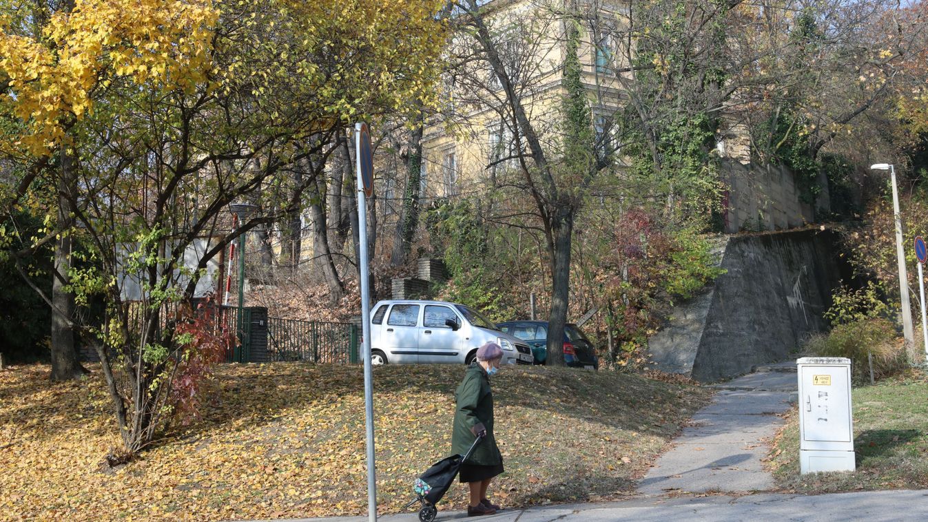 Értéke töredékéért és a lepusztult Mandulás kempingért adná oda a bőrklinikát a pécsi városvezetés
