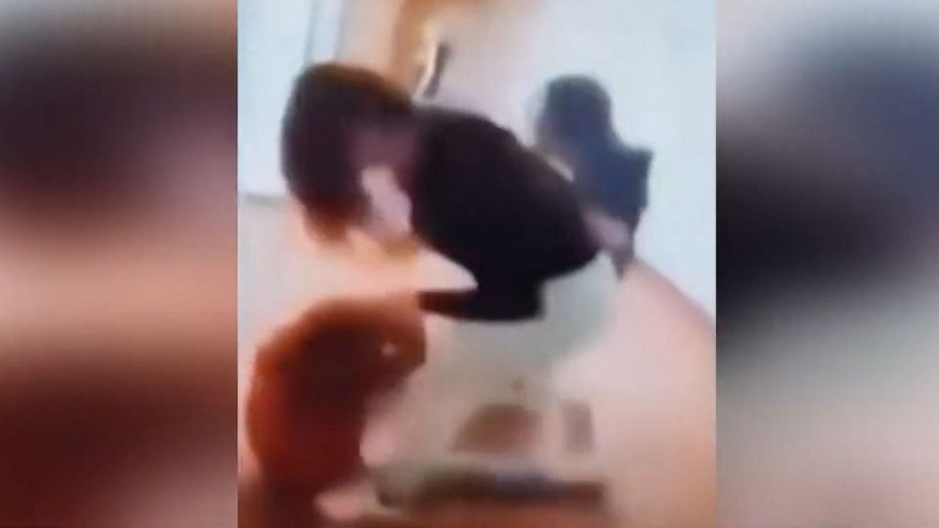 Nyolcadikos lányok vertek meg kisebbeket egy kecskeméti iskolában