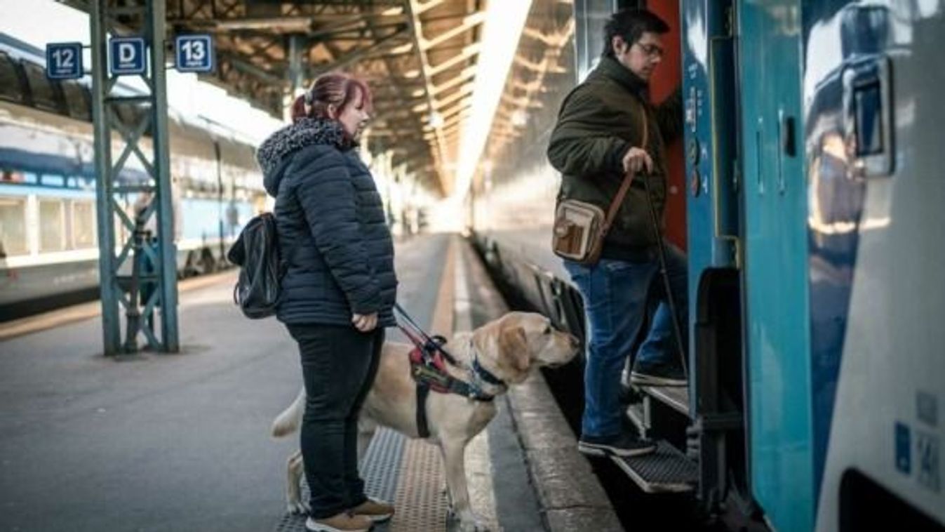 A Pécsi Tudományegyetem látássérült hallgatóját vegzálta egy jegyellenőr