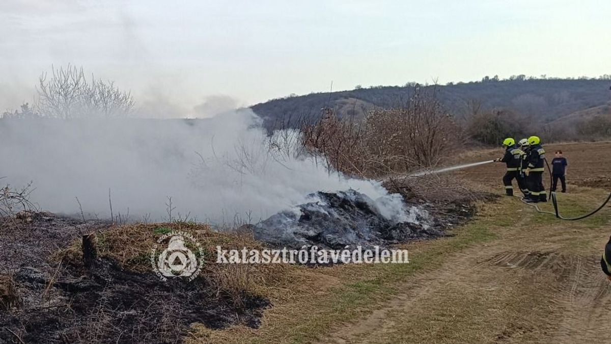 Több szabadtéri tűzhöz is riasztották a vármegye tűzoltóit