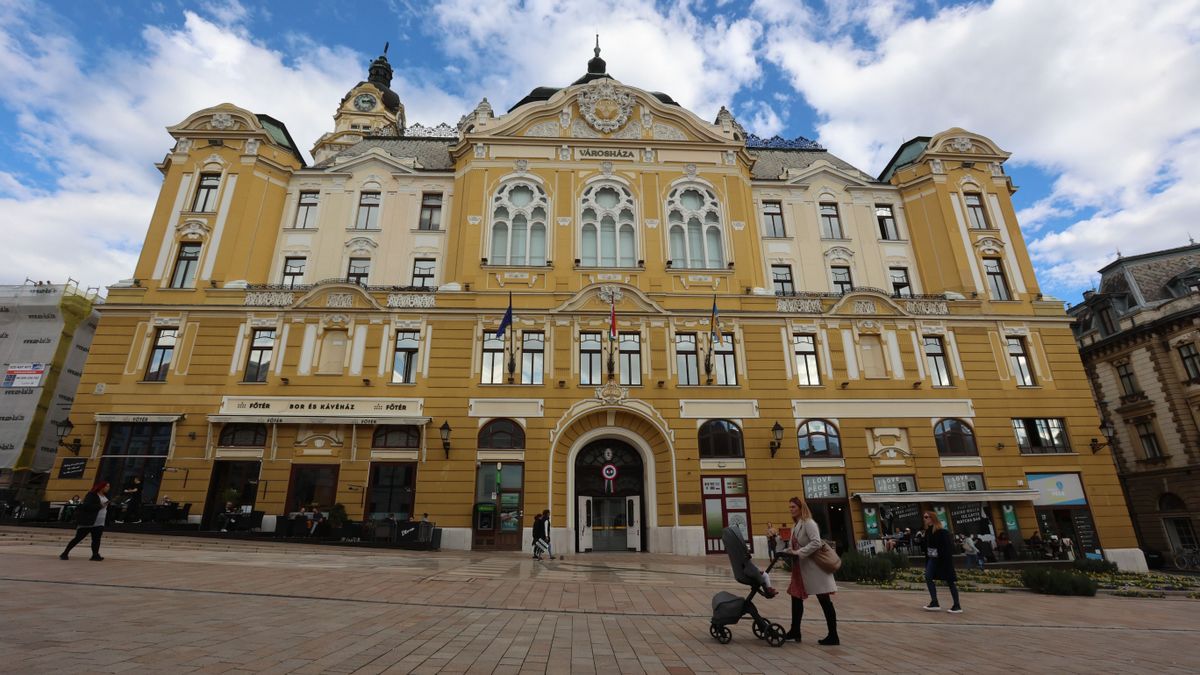 Pedofilmentegető, baloldal, pécs