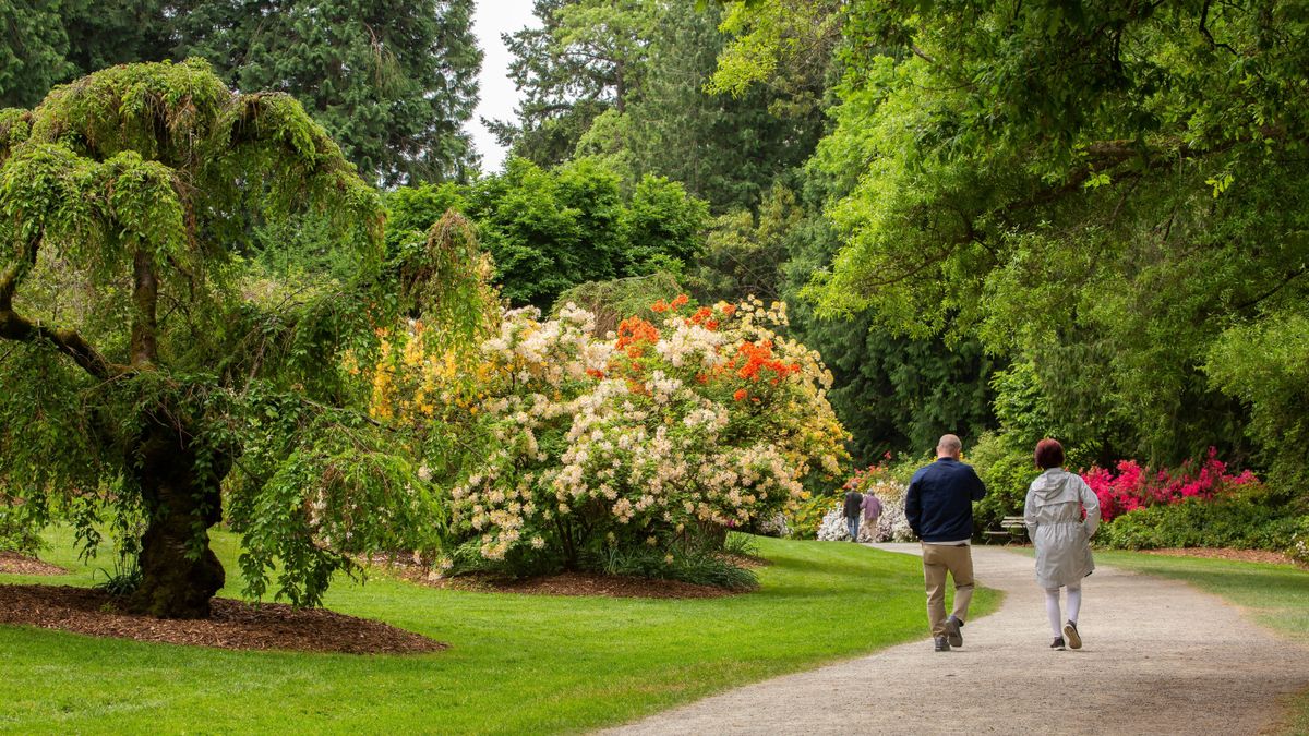 park, arborétum, Harkány