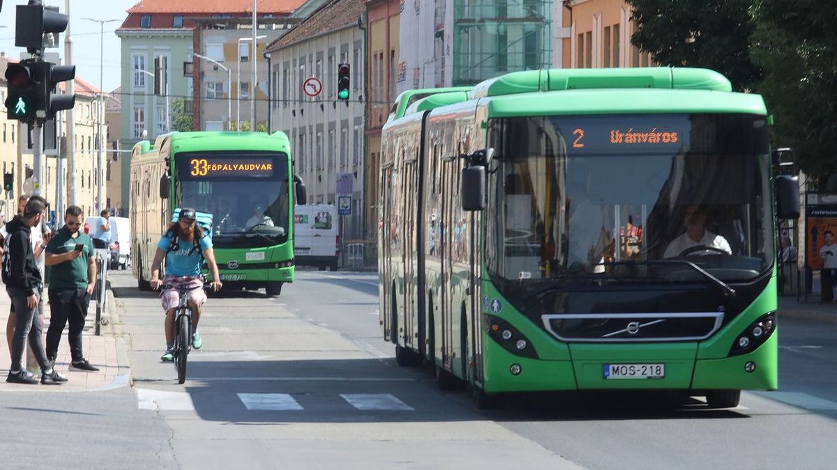 Busz, tüke busz