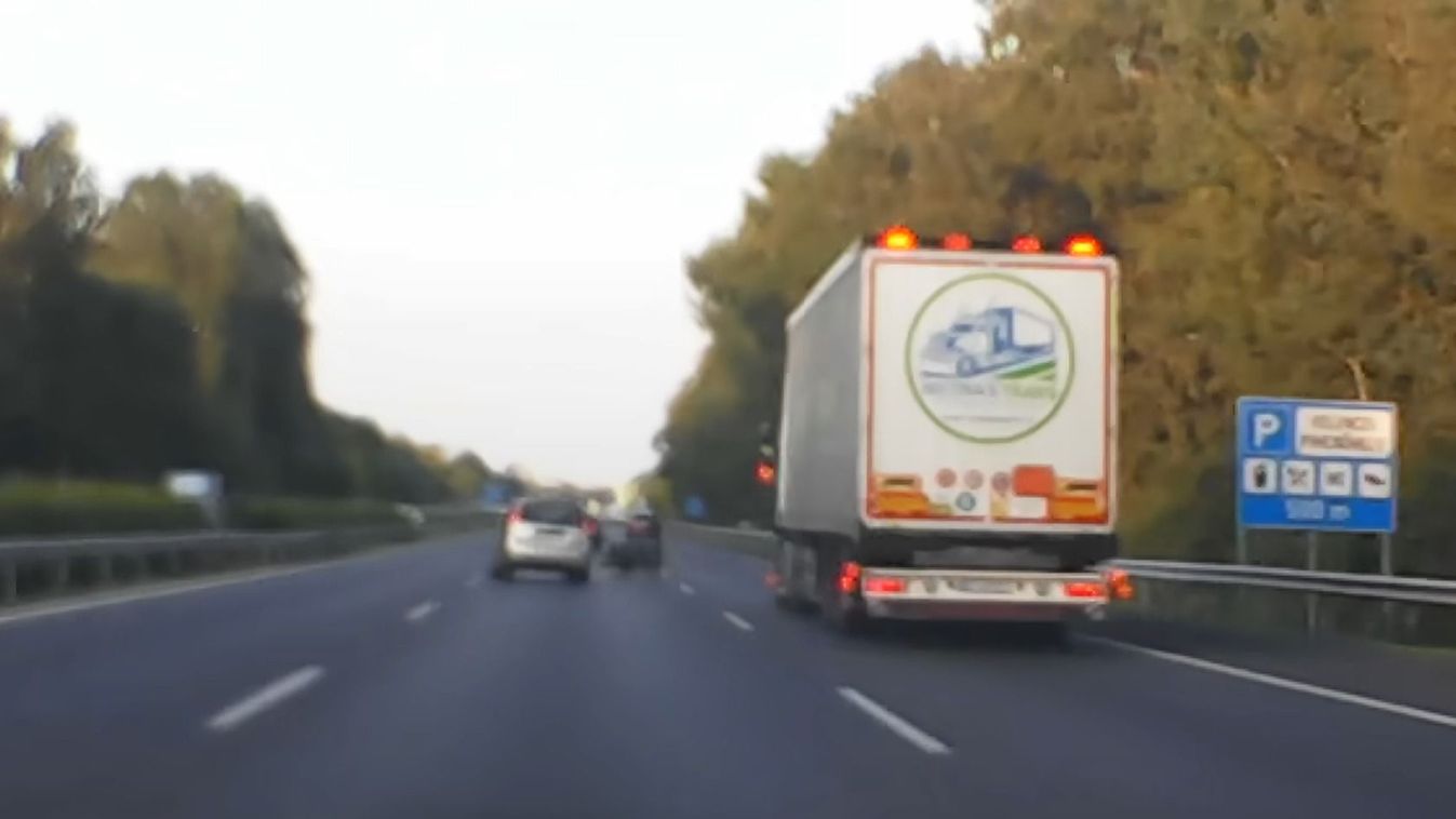 Erre senki nem számít: vaddisznó rohant egy kocsinak az autópályán (videó)