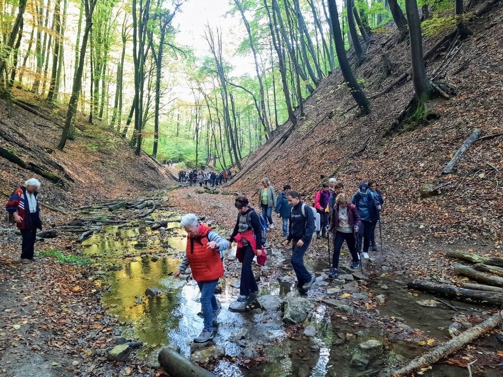 időjárás, meteo mecsek