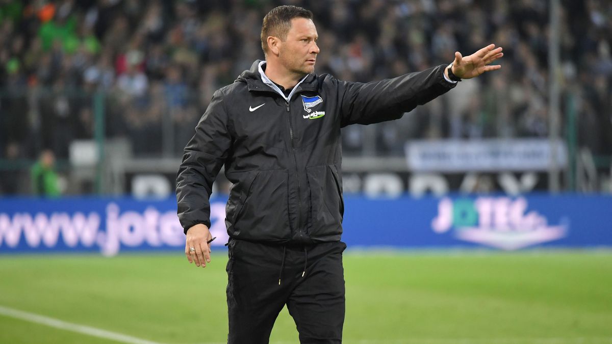 dárdai pál, Hertha 