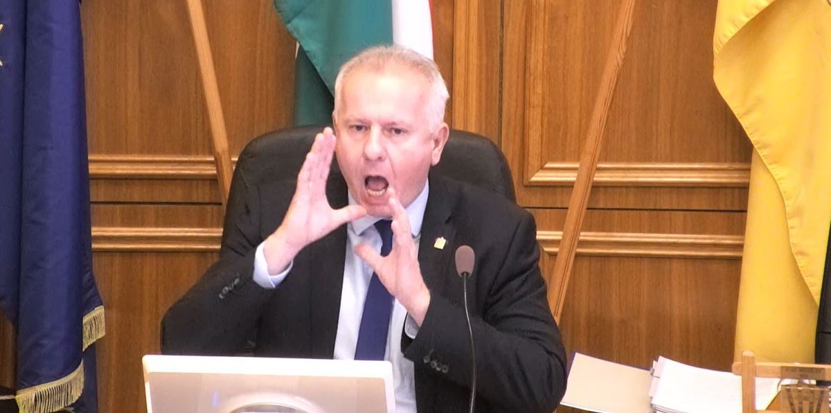 cég, családi