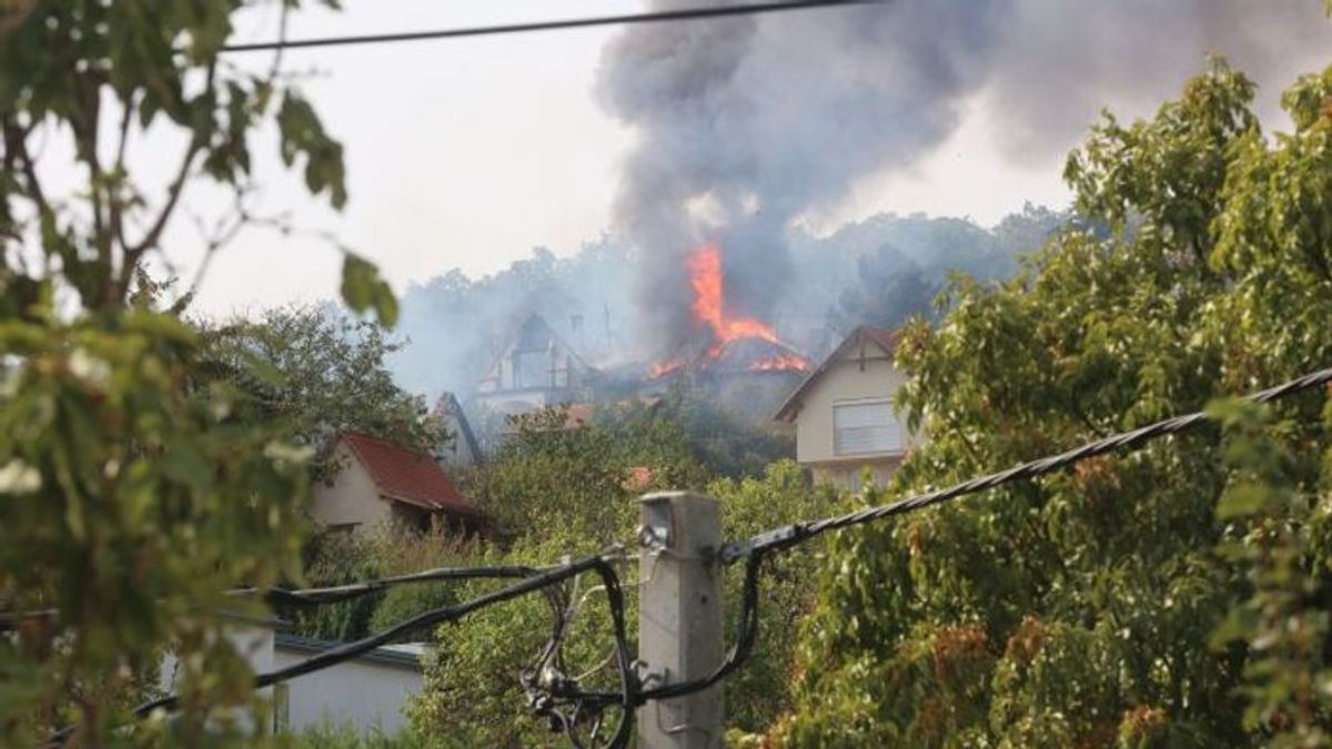 patacsi tűzvész