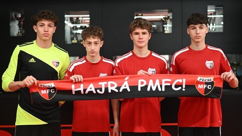 PMFC