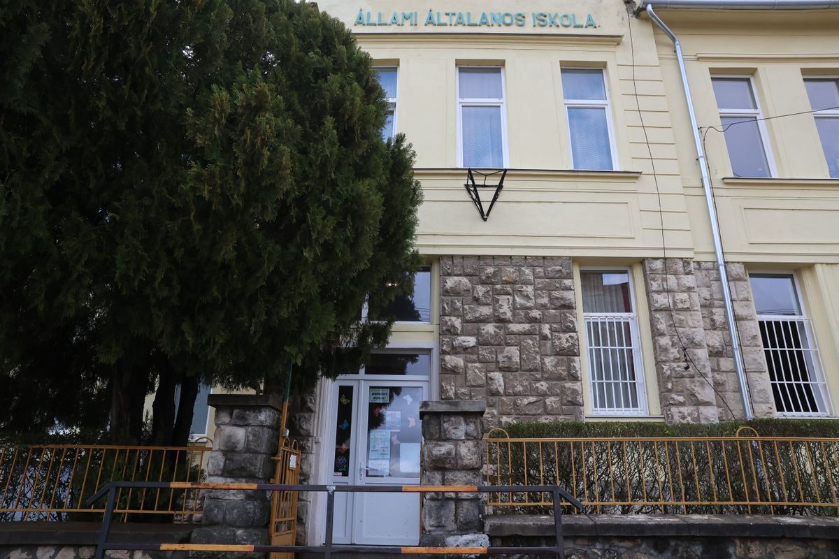 pécsi iskola