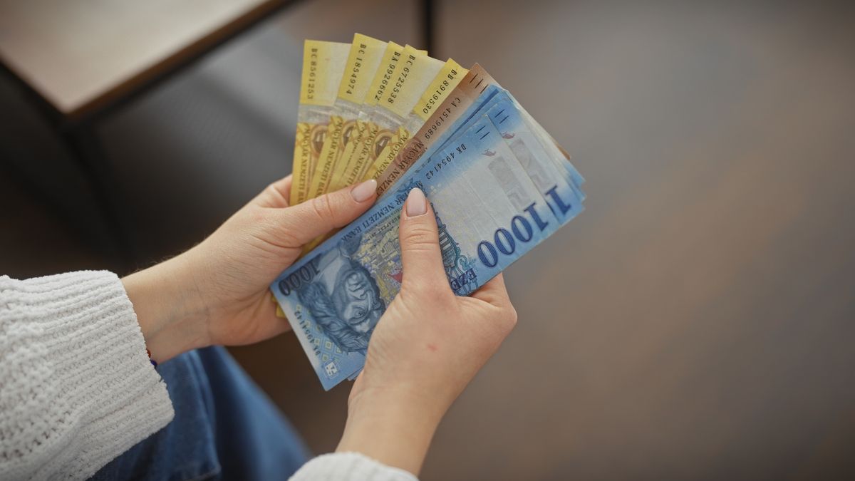 Young,Woman,Counts,Hungarian,Forints,In,A,Cozy,Indoor,Setting.