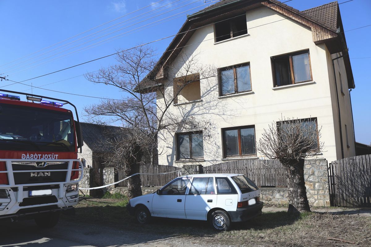 tűz