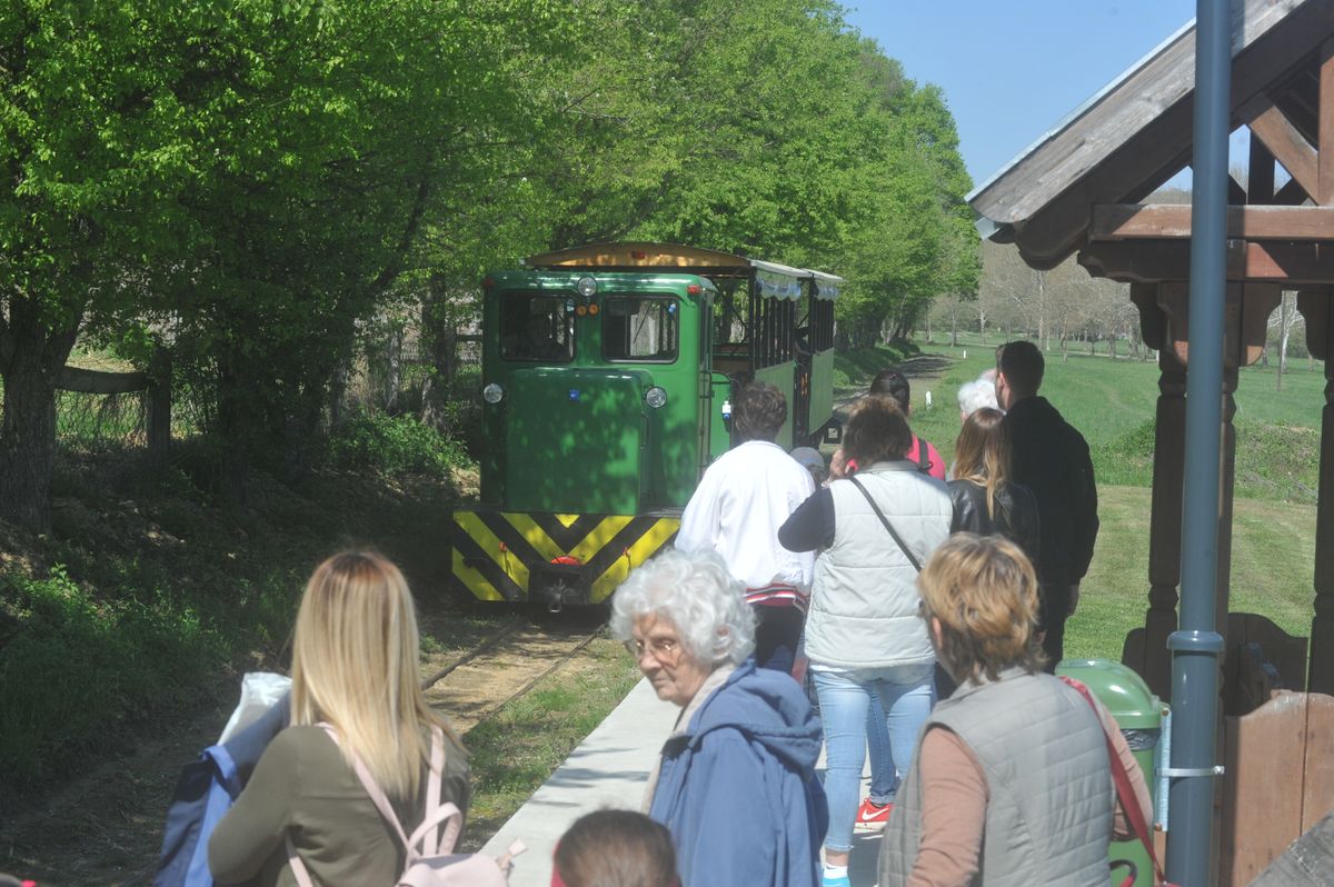 Zselici Csühögő