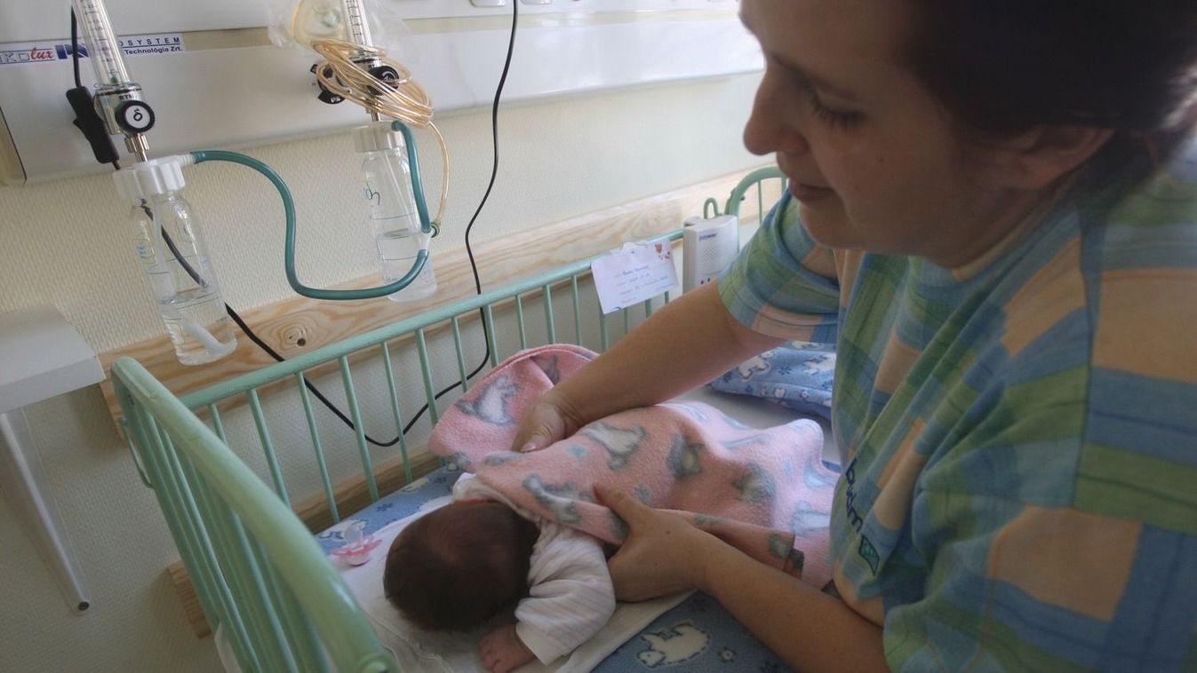 Újszülöttek ligete: folytatják a kedves hagyományt