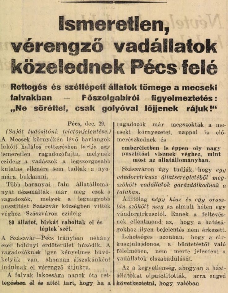 tigris, mecsek