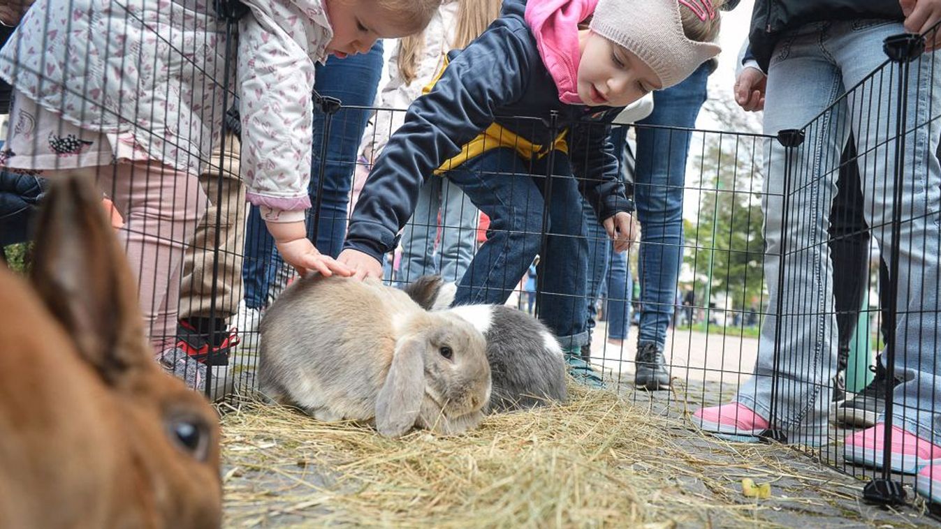 A legszebb tojások díjazásban részesülnek a várban
