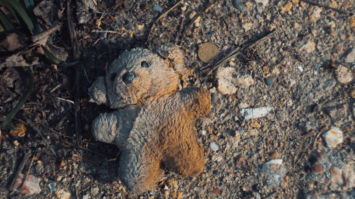 Lost,Bear,Toy,And,Coin