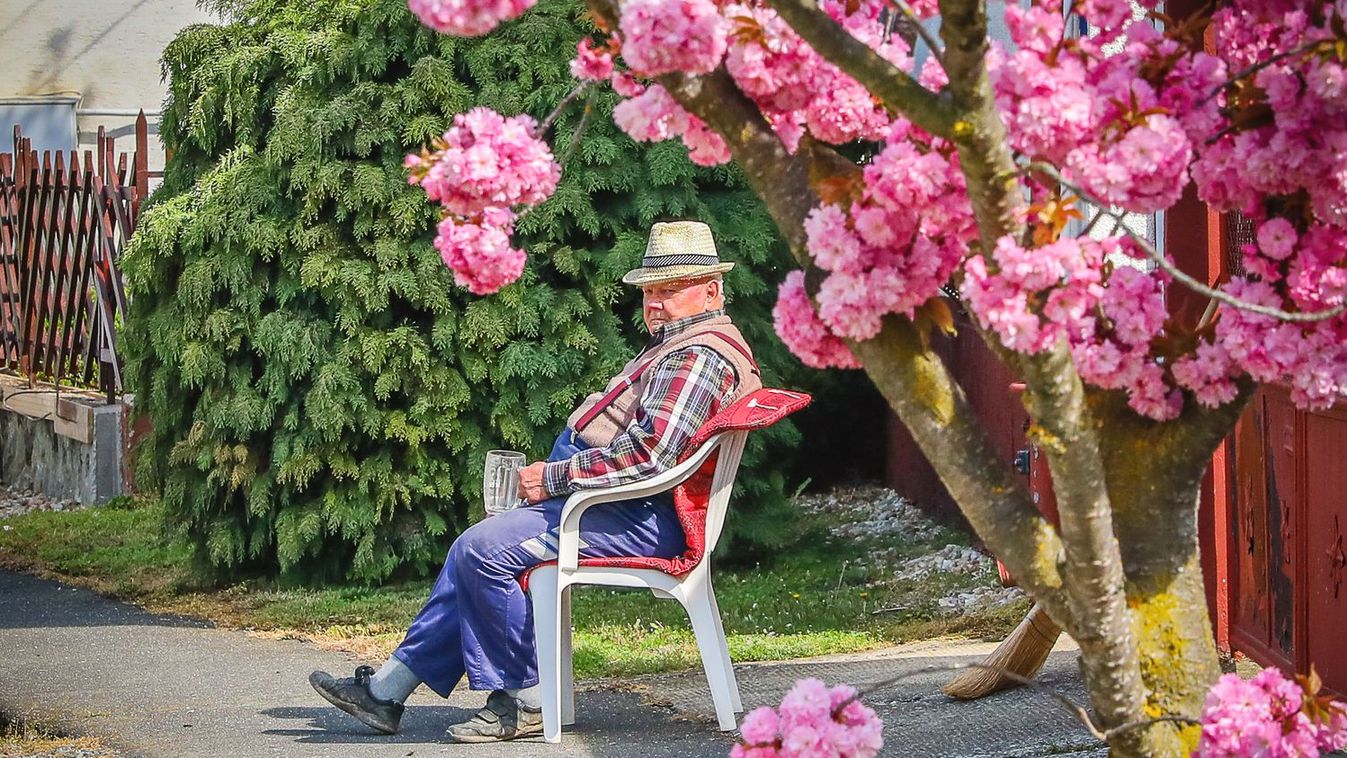 Megbolondul az időjárás: tavaszból nyár, aztán újra tavasz?