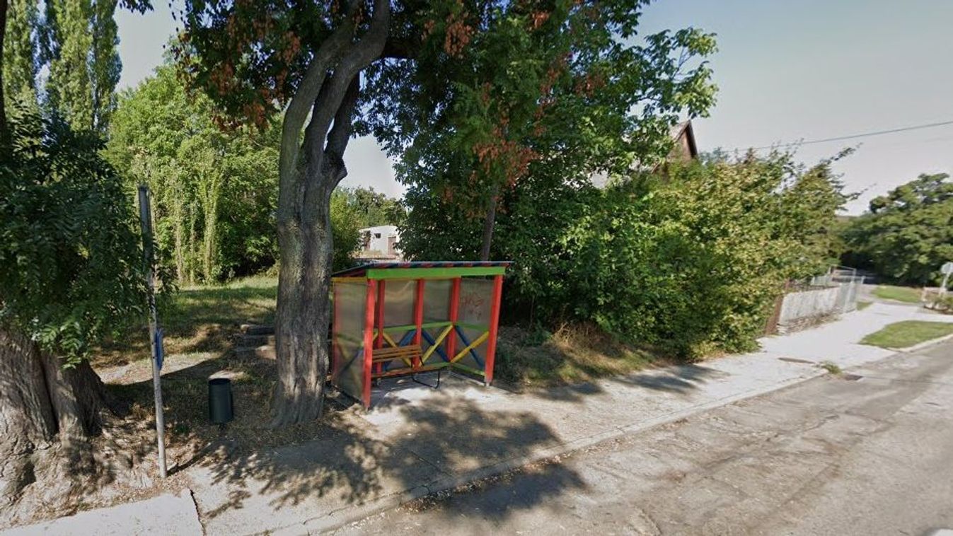 Padot loptak az iskola elől, majd bedobták egy ház udvarára Pécsen