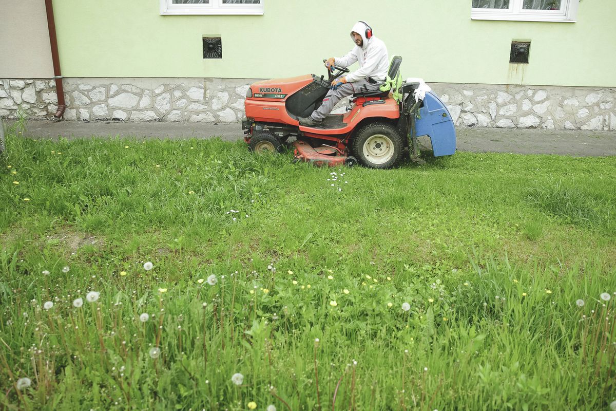 fűnyírás