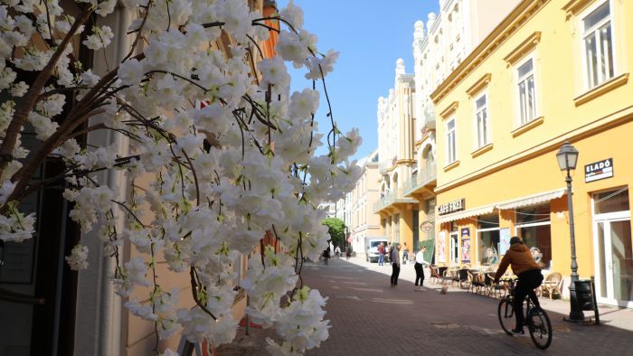 Szép, napsütéses idő köszöntött be Pécs köztereire