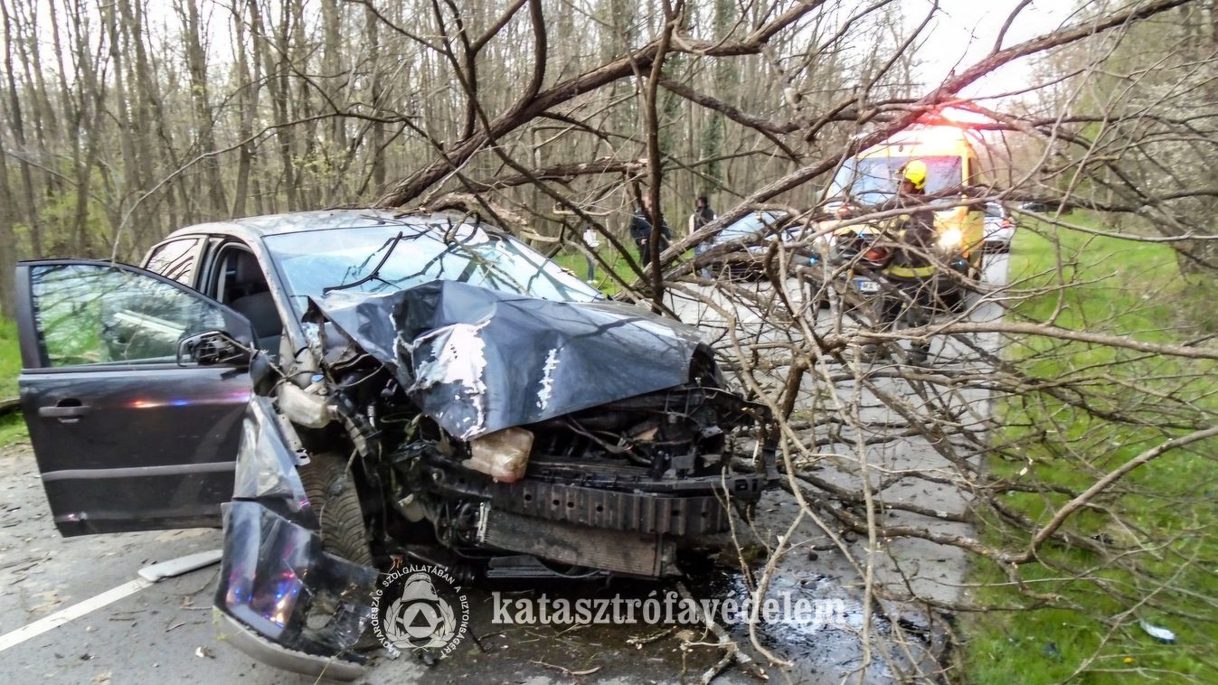 Szörnyű baleset Baranyában: az ütközés után rádőlt a fa az autóra