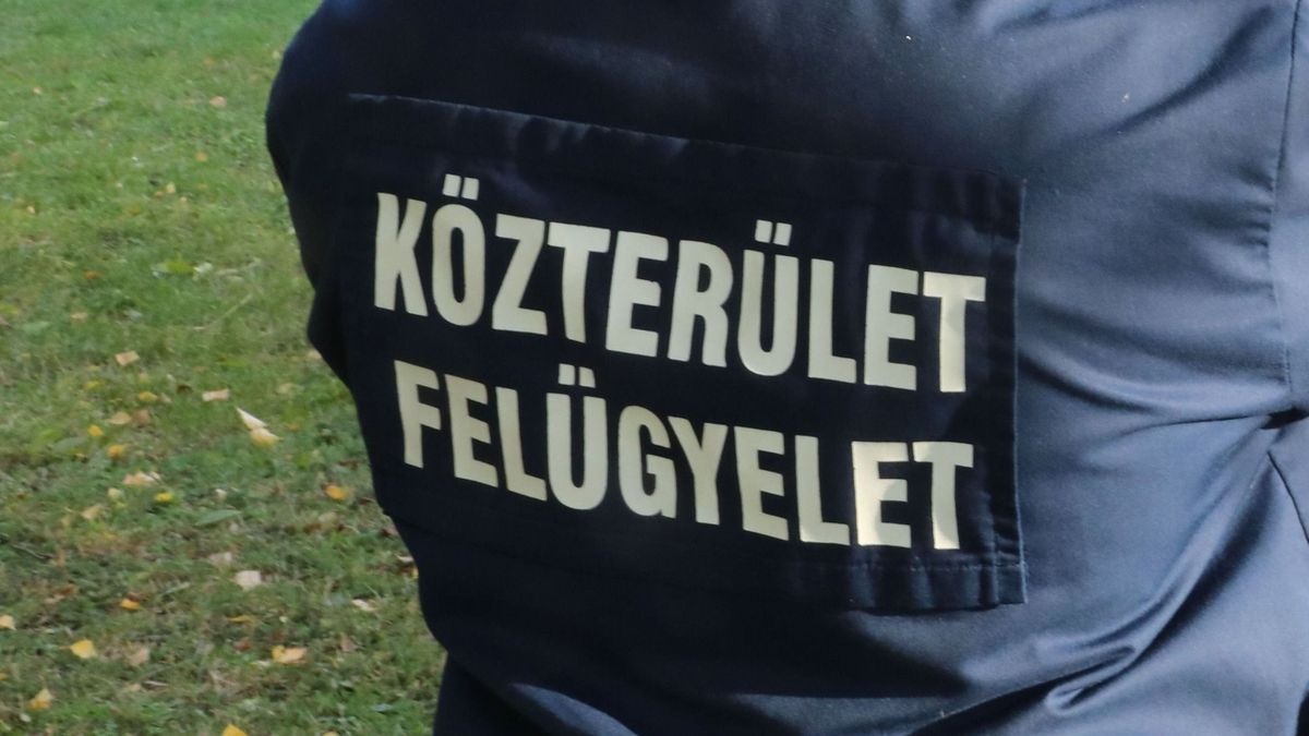 Egyre furcsább hírek jönnek a Pécsi Közterület-Felügyelettől