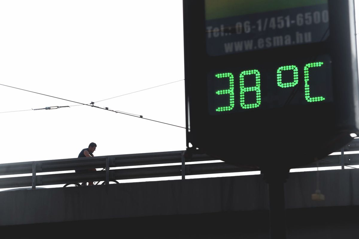 nyár 2025