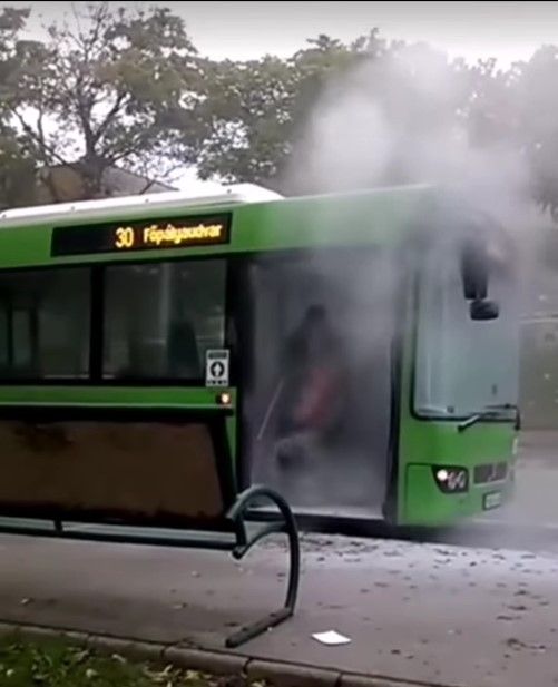 busz