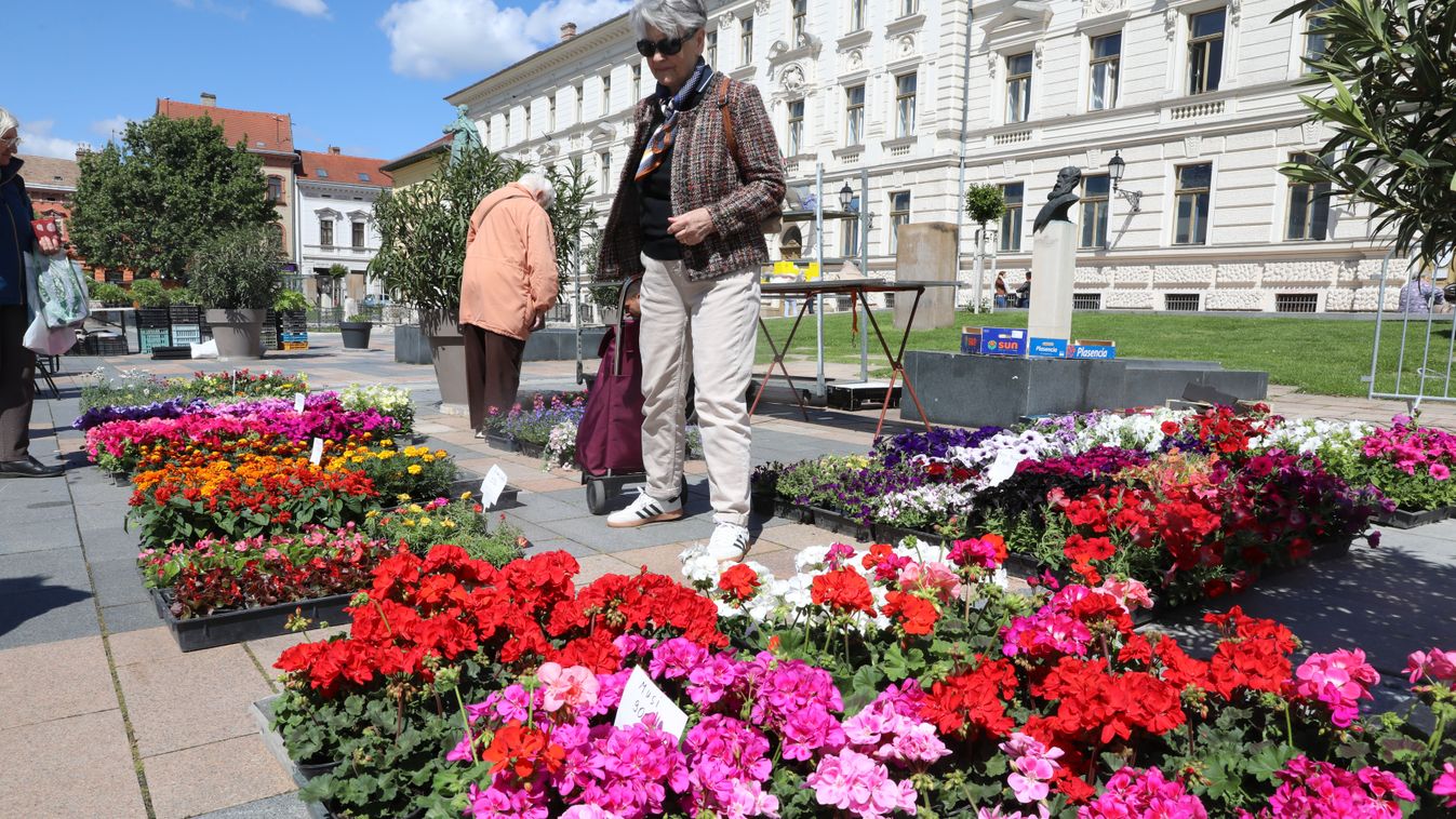 A szivárvány színeiben pompázott a belváros: a legszebb virágok találtak gazdára (GALÉRIA+VIDEÓ)