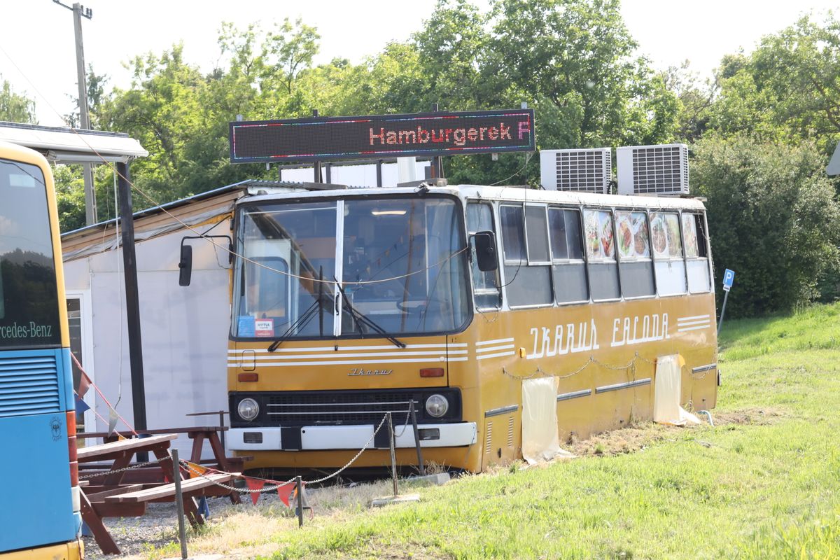 Ikarus Faloda