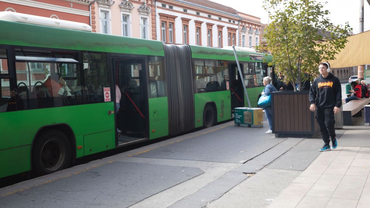 buszsofőr