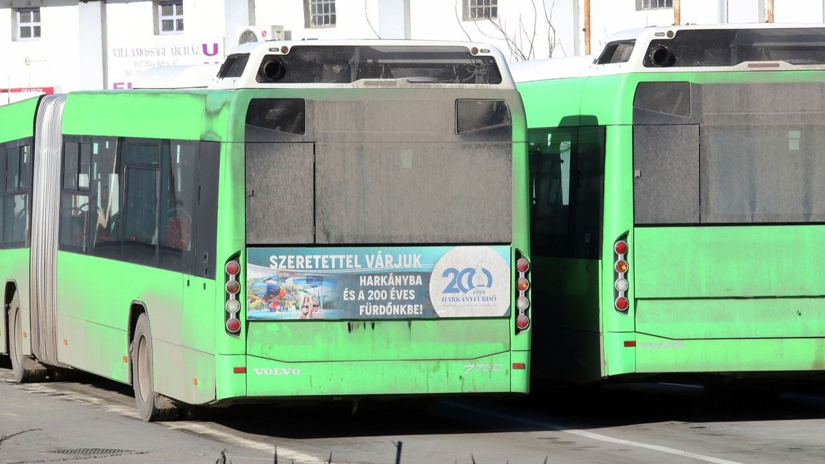 busz