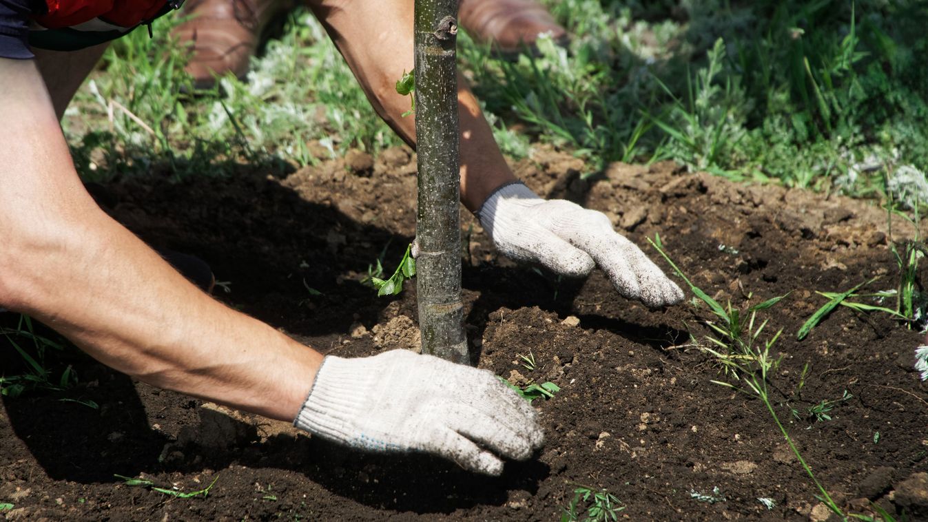 Önkéntesek építik a Szeretethidat Baranyában is a hétvégén
