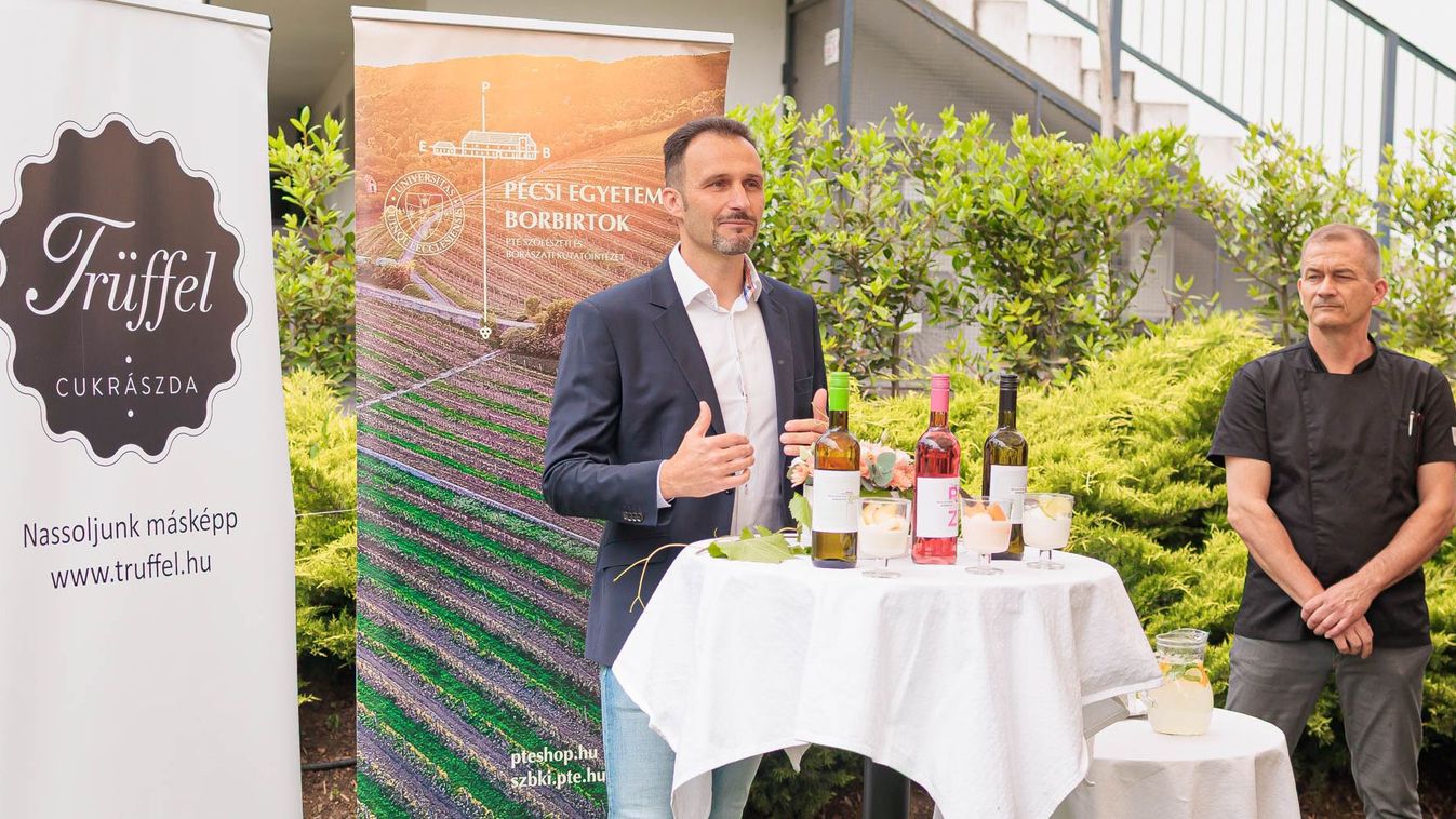 Jöhet akkor egy nagy gombóc Sauvignon Blanc?