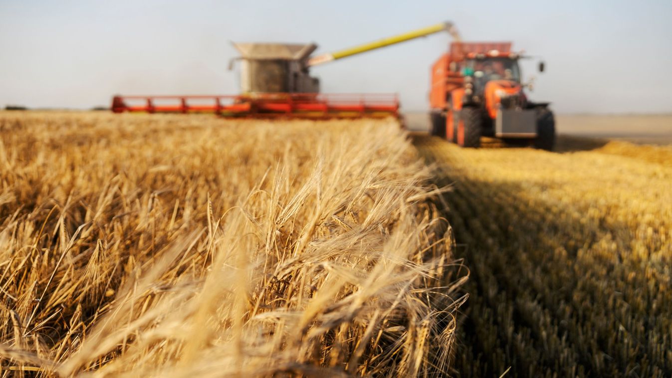 Ukrajnában nem igazán tudják, hol és mennyi GMO-növényt termesztenek a gazdálkodók