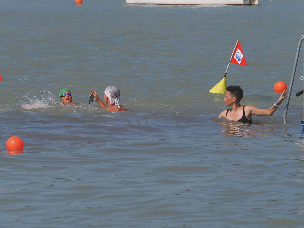 Balaton busz