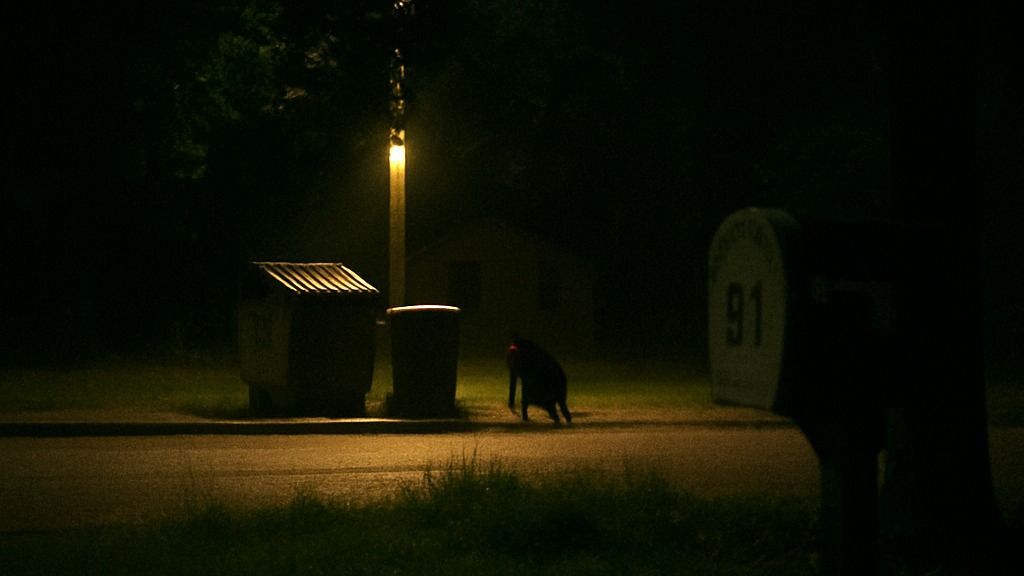 vaddisznó
