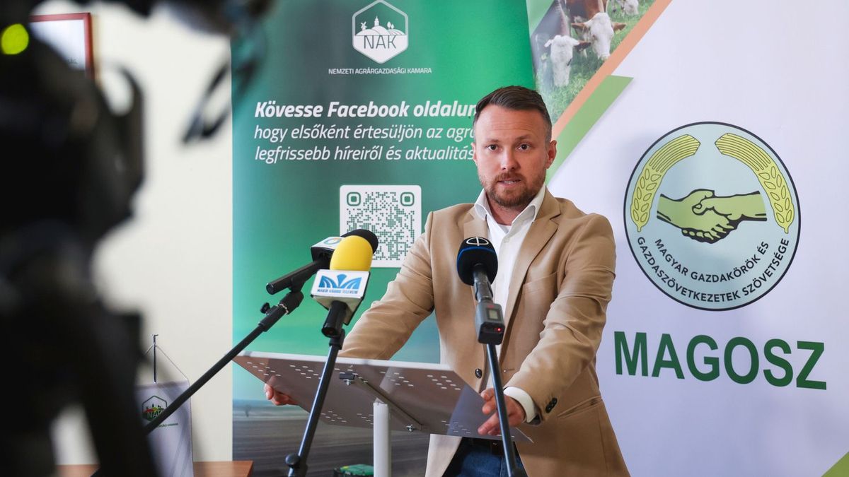Ukrajna uniós csatlakozása: veszélyben a magyar mezőgazdaság jövője