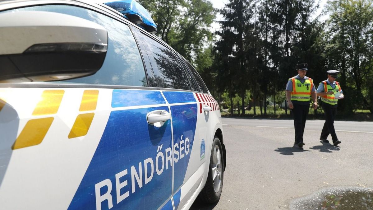 Nem hiszed el: készpénz lapult a villanyoszlop tövében