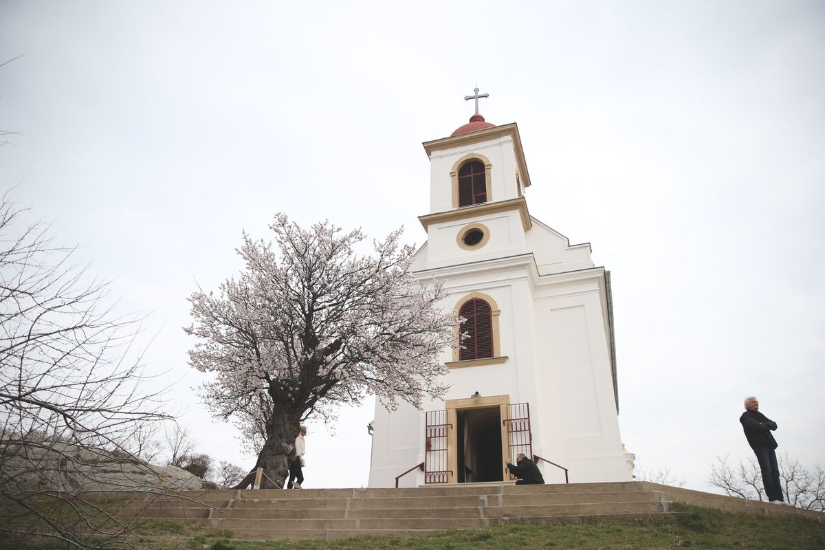 esküvő