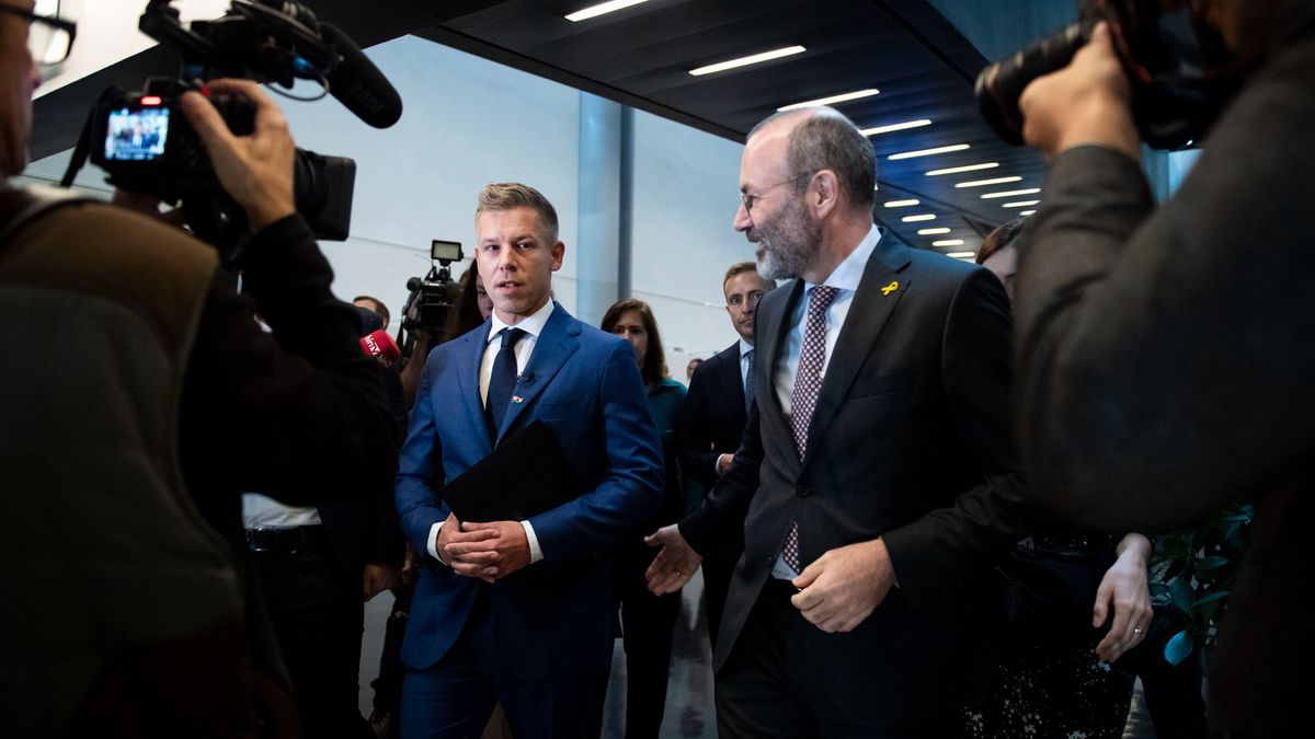 A Tisza Párt Manfred Weberrel karöltve aktívan dolgozik Ukrajna felvételére az Unióba