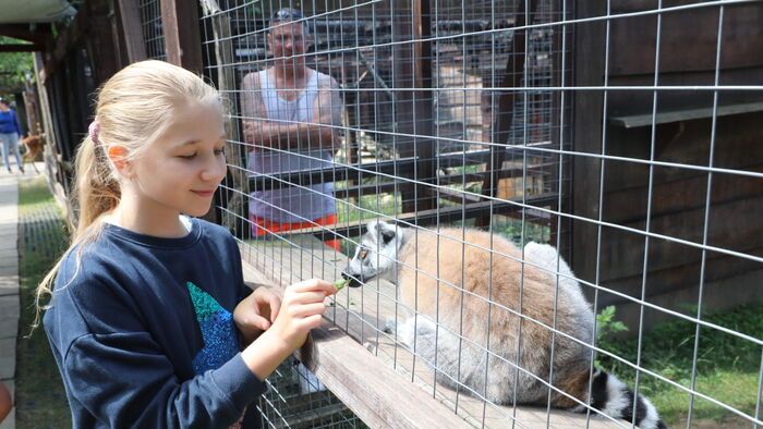 Állati élmények a komlói Mini Zoo--val